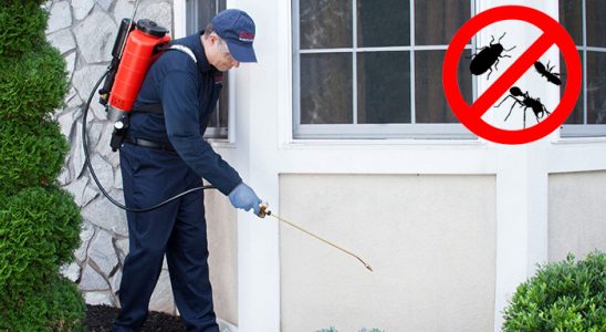 Gümüşpala Karınca İlaçlama böcek ilaçlama ve haşere kontrolü — ilaclama-tr.com